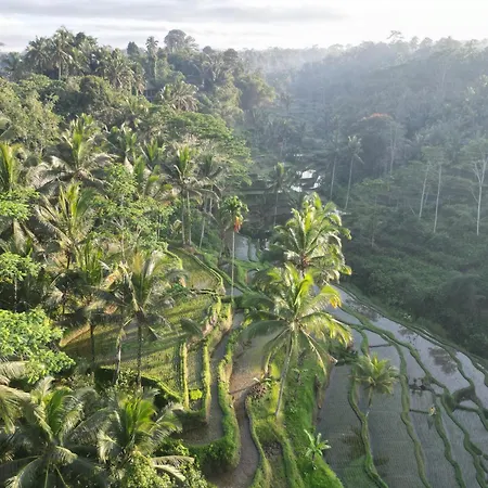 Aventus Resort Ubud