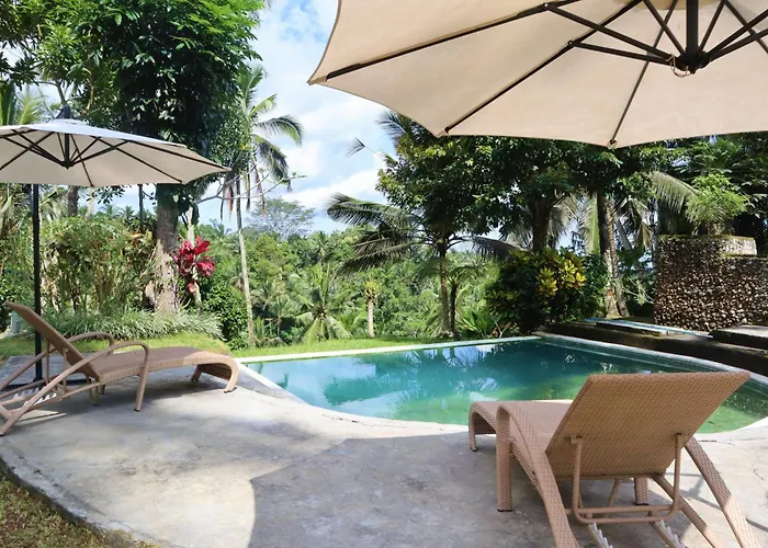 リゾート Aventus Ubud