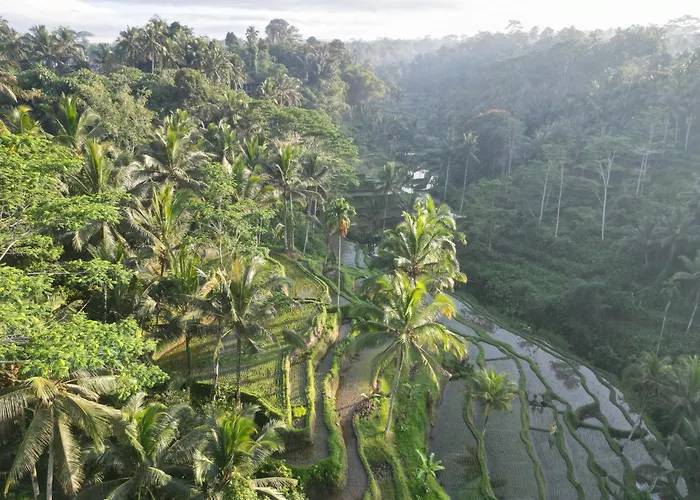 Aventus Ubud منتجع