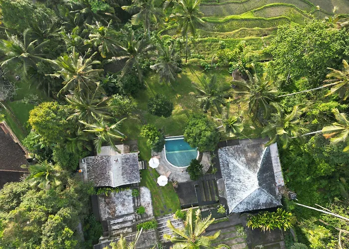 Aventus Ubud منتجع *