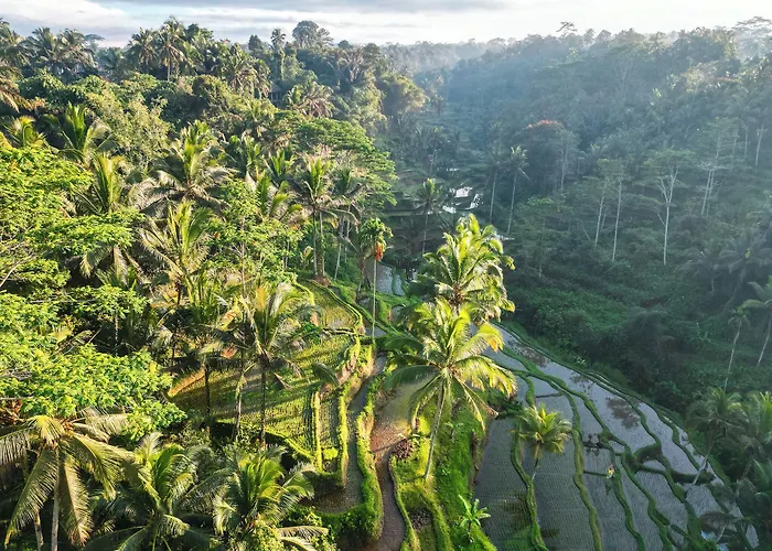 Aventus Ubud منتجع تيغالالانغْ